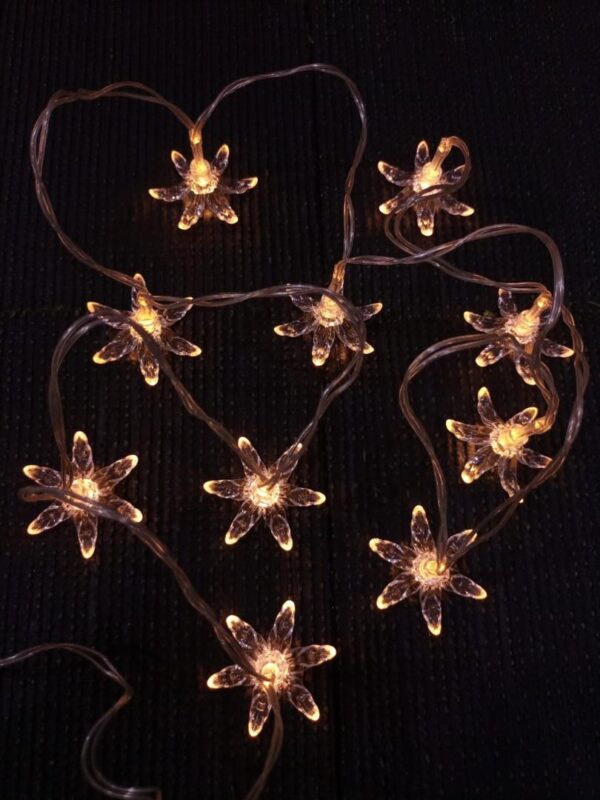 Blossom Flowers Fairy Light ( 10 Flowers In String 5ft Length )